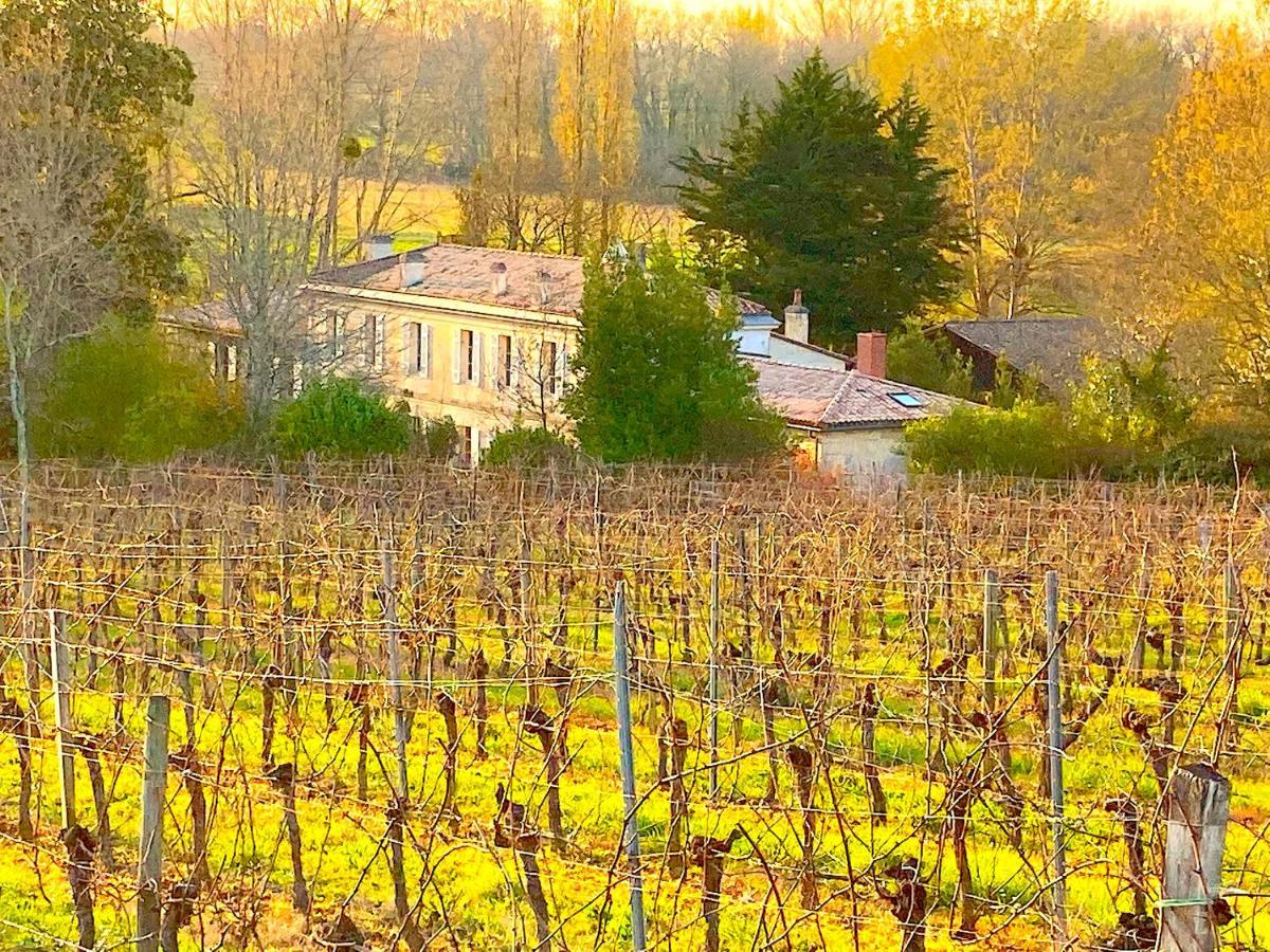 Fabuleux - Domaine Du Moulin D'andraut Bordeaux-chevaux-golf-st Emilion Villa Montussan