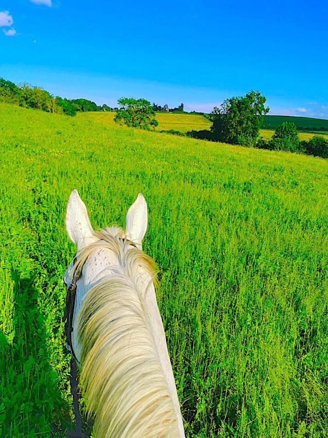 Fabuleux - Domaine Du Moulin D'andraut Bordeaux-chevaux-golf-st Emilion *