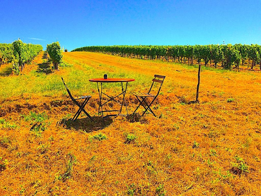 Fabuleux - Domaine Du Moulin D'andraut Bordeaux-chevaux-golf-st Emilion * Montussan